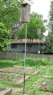 Flicker Telescoping Pole