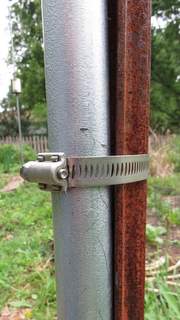 Hose Clamp