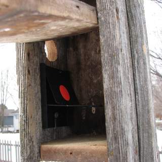 nestbox trap