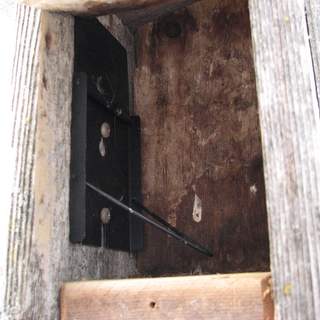 nestbox trap