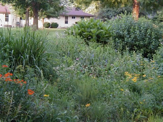 yard12