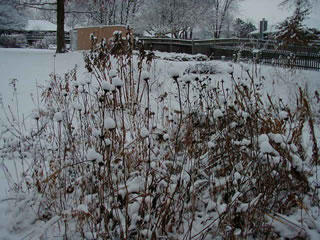 yard07
