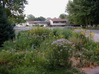 yard02