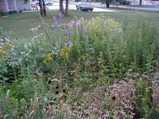yard04