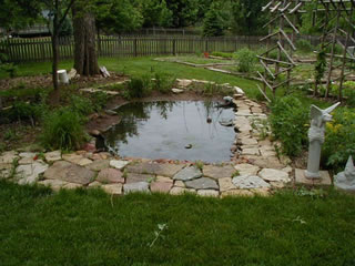 front view of pond