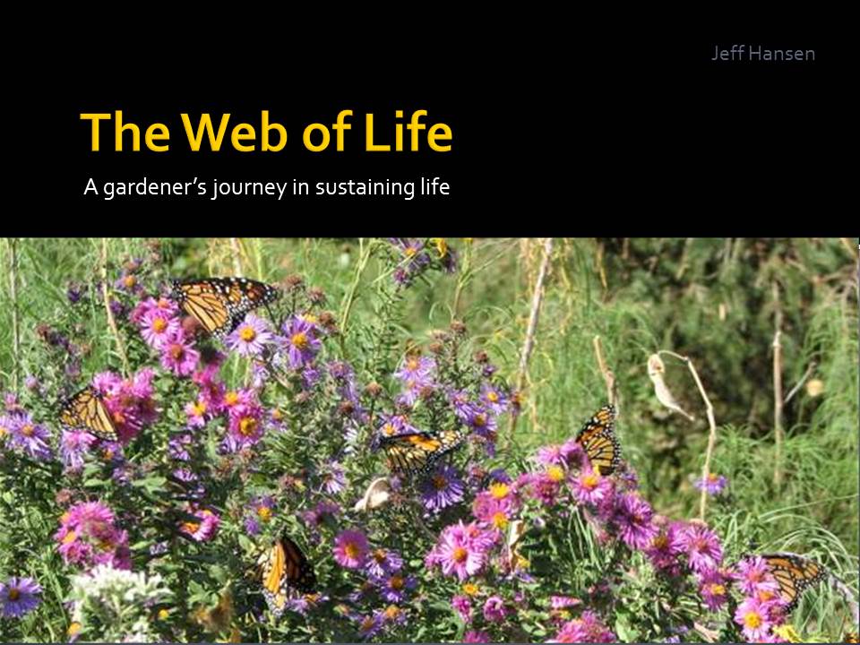 The Web of Life