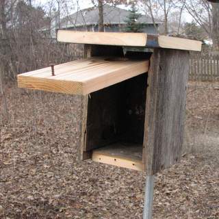 nestbox